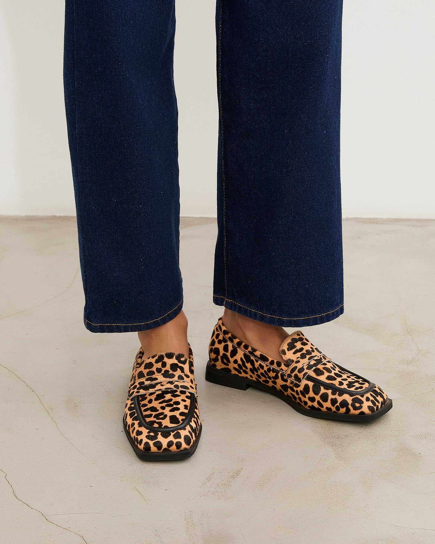 ZAPATO ROGER PRINT