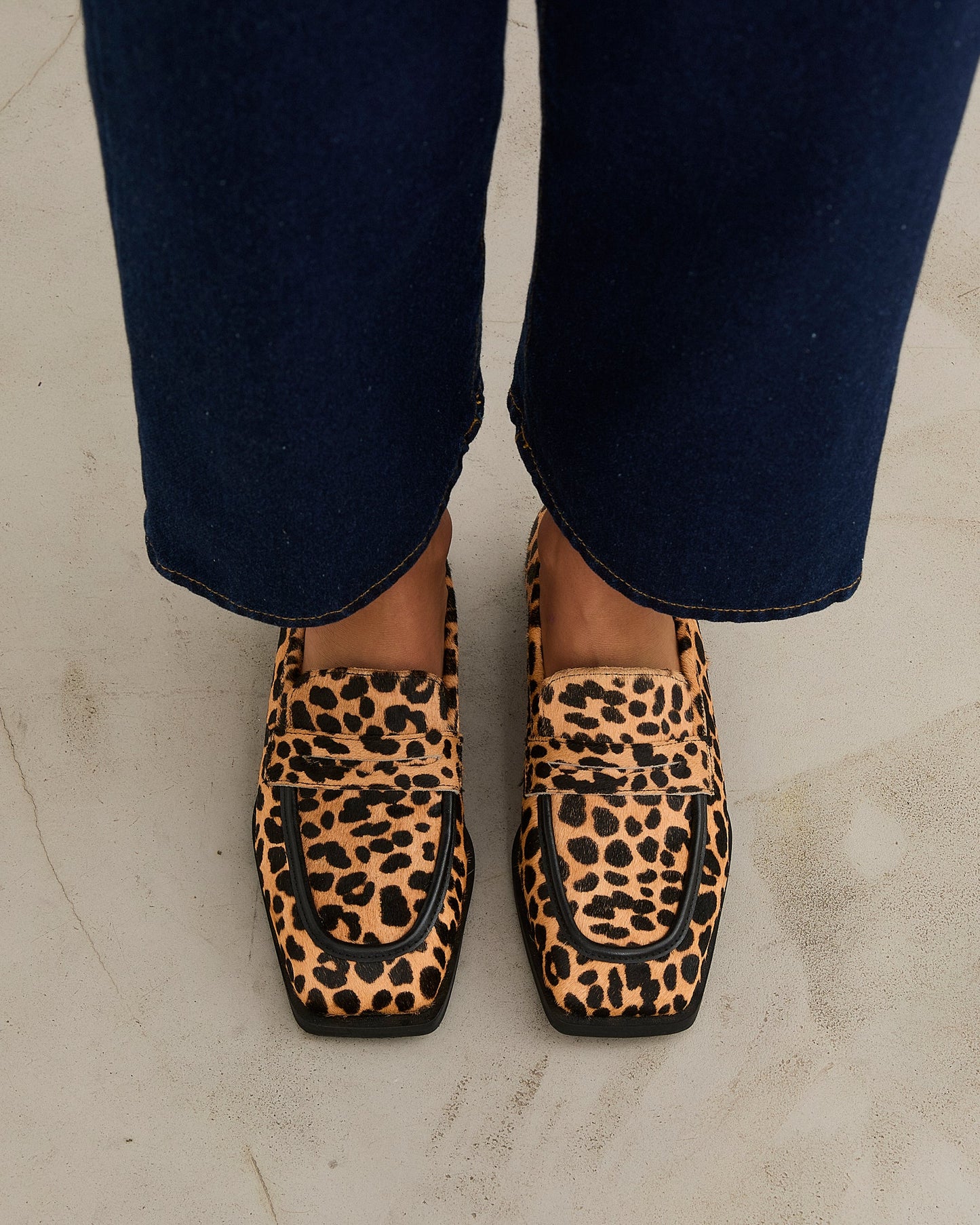ZAPATO ROGER PRINT