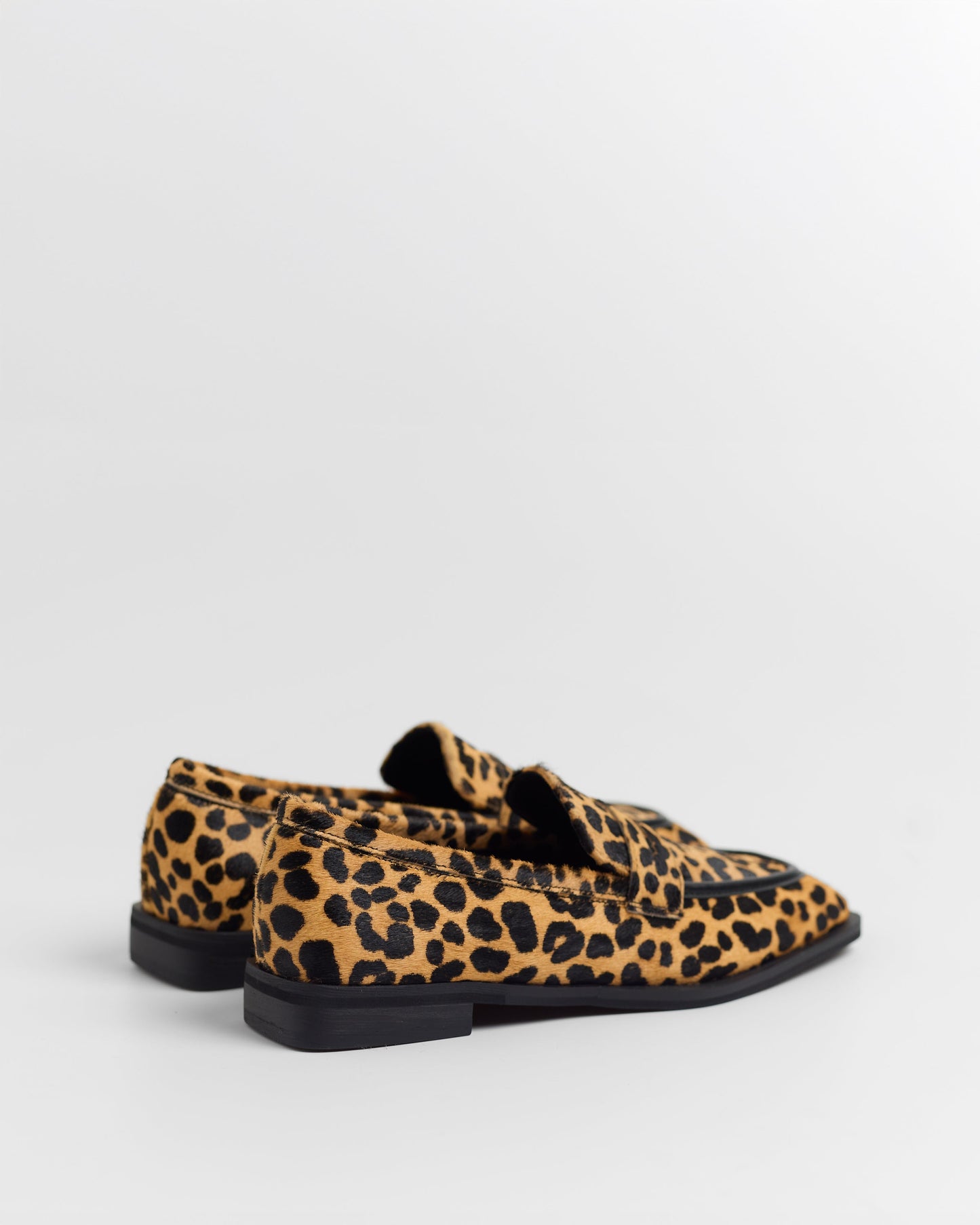 ZAPATO ROGER PRINT