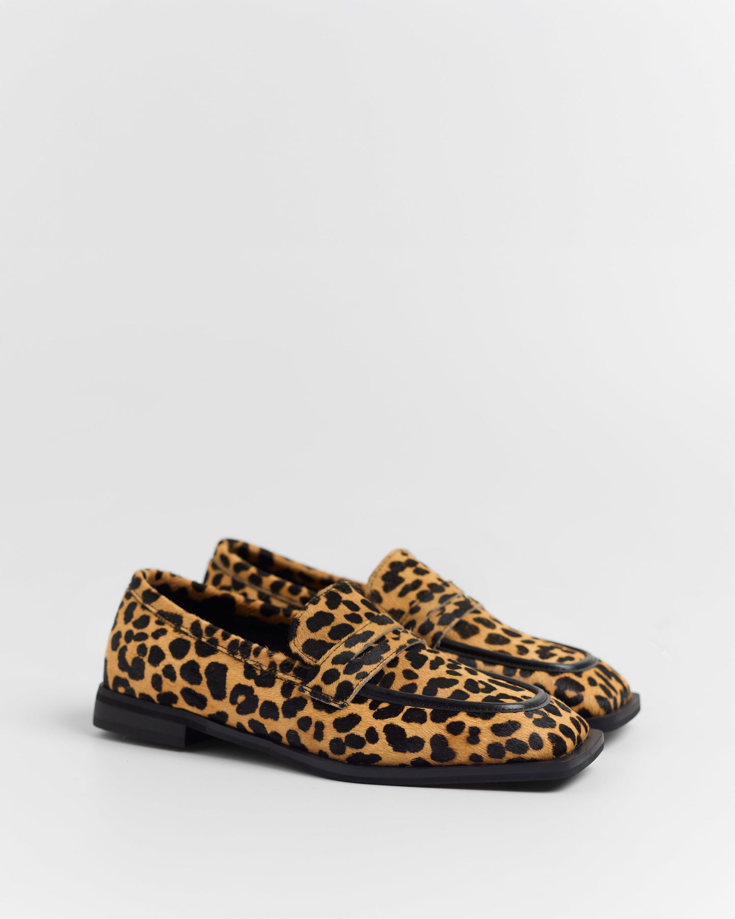 ZAPATO ROGER PRINT