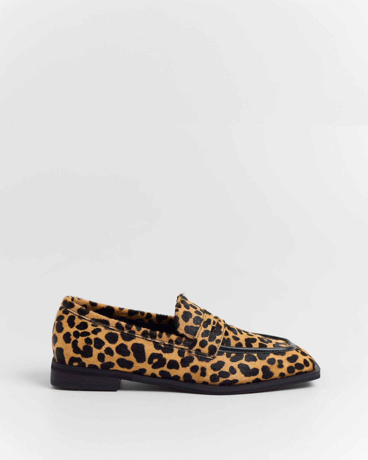 ZAPATO ROGER PRINT