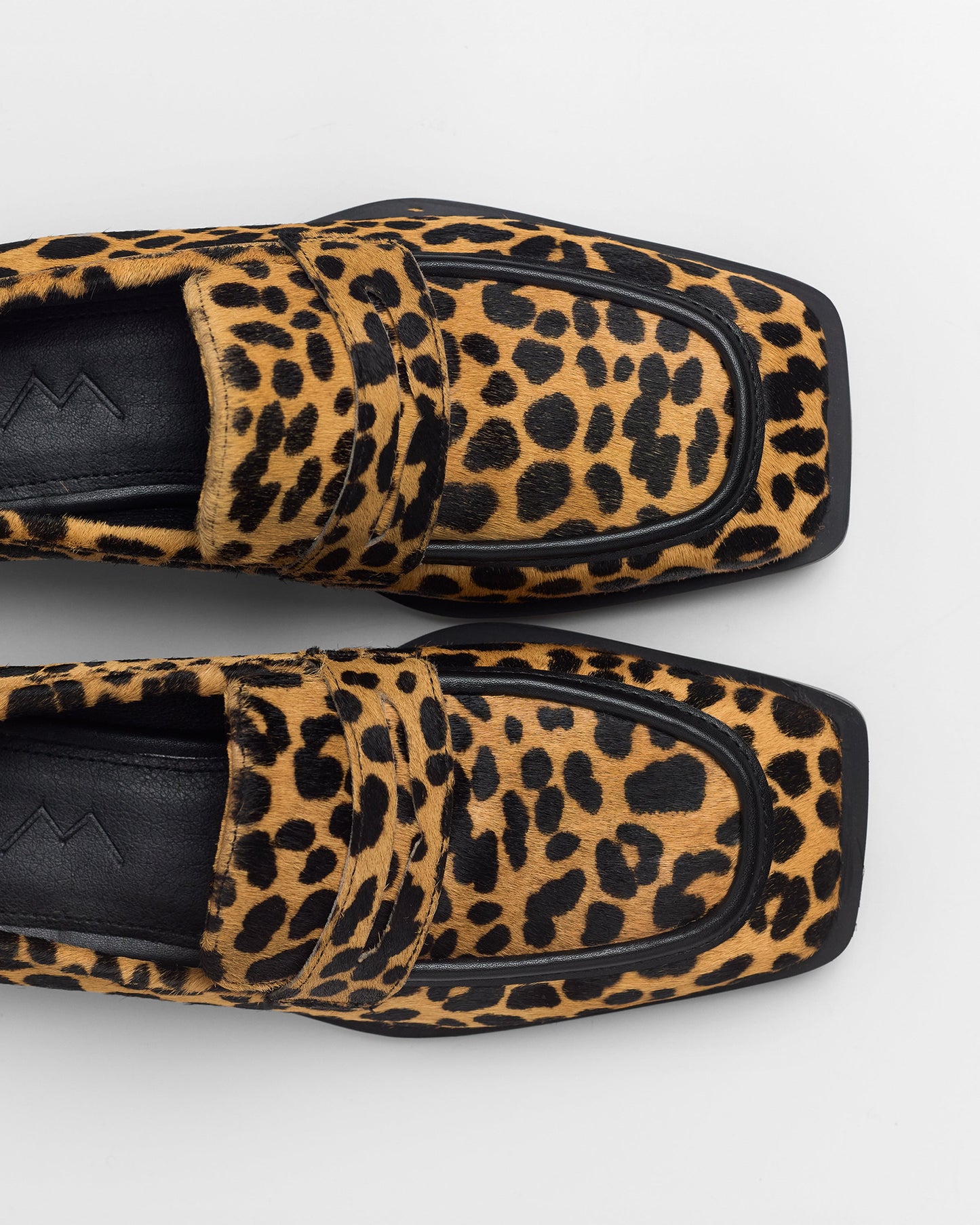ZAPATO ROGER PRINT