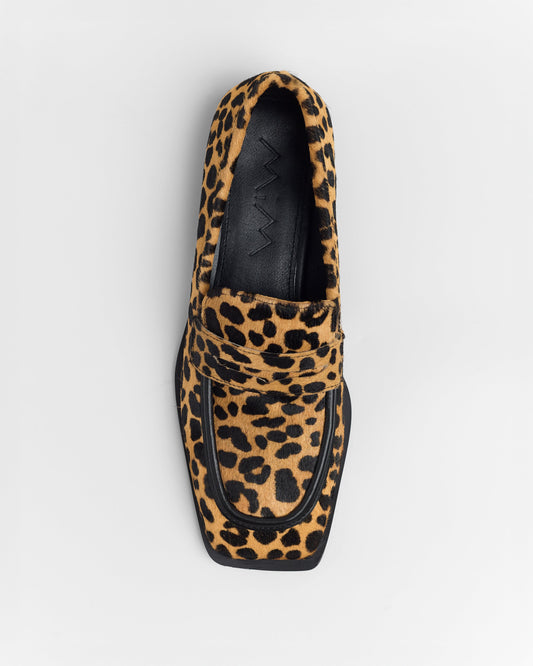 ZAPATO ROGER PRINT