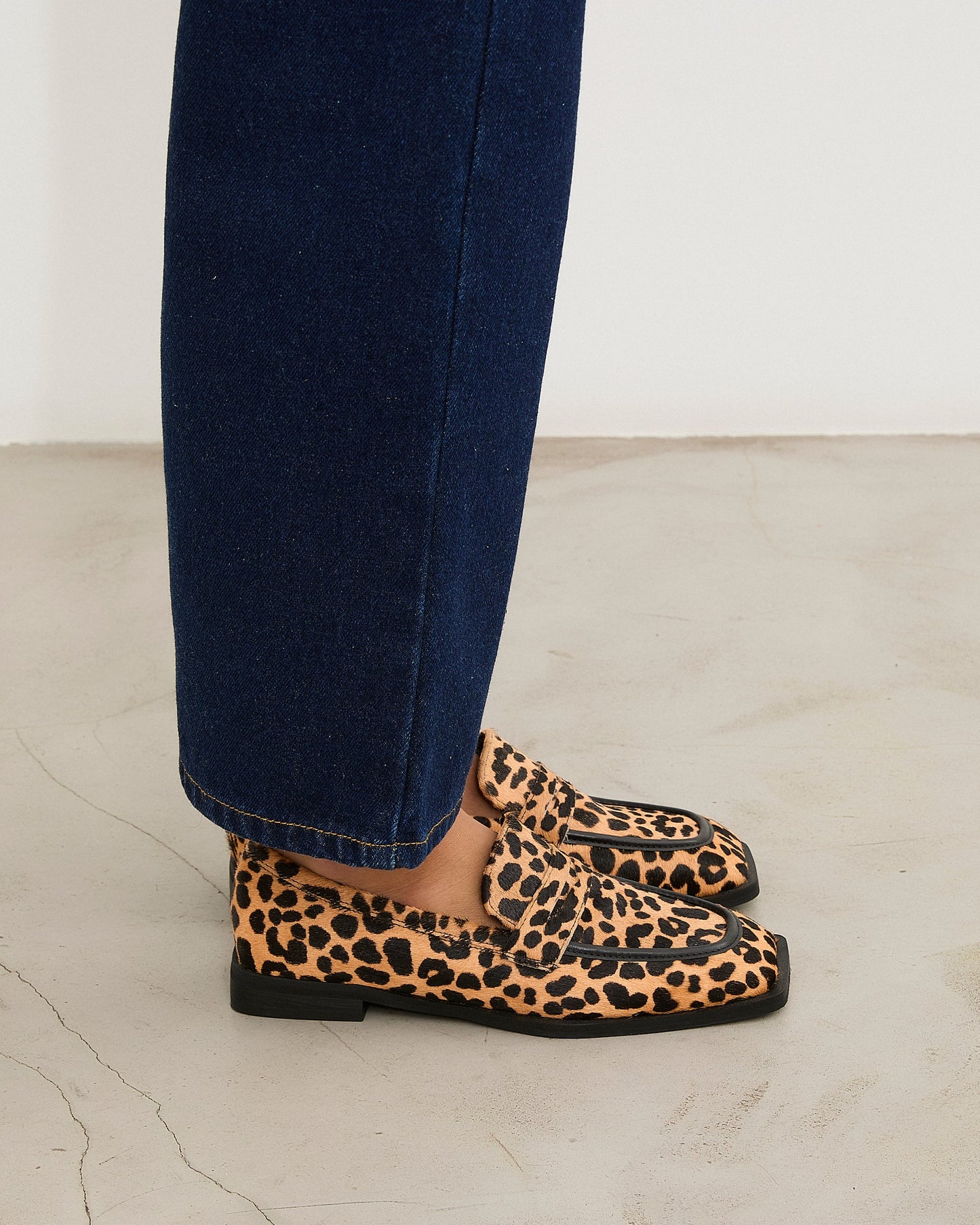 ZAPATO ROGER PRINT